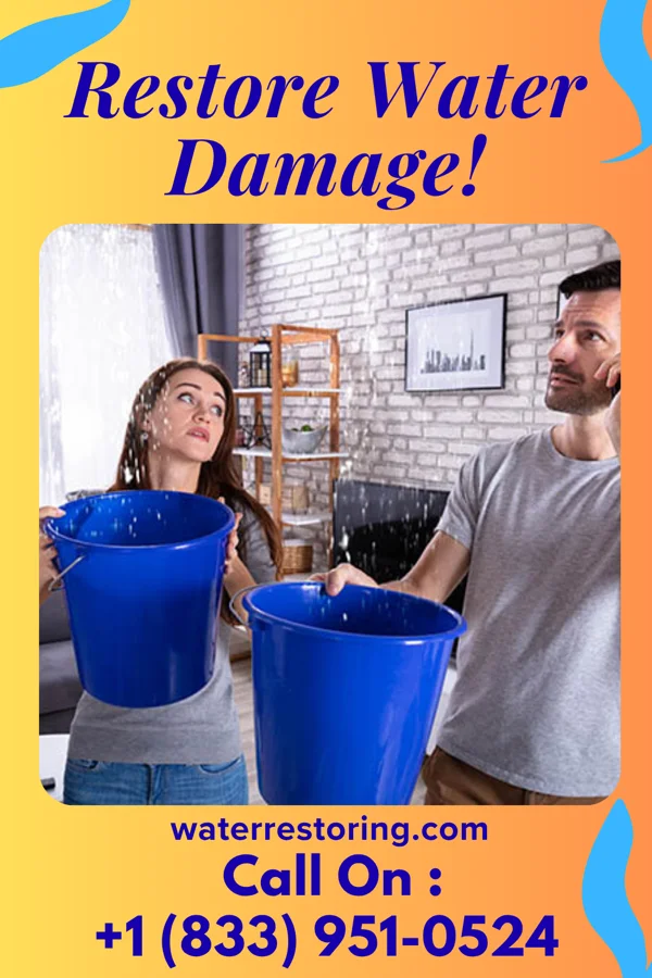 water restoration Express Water Removal LLC Elkville